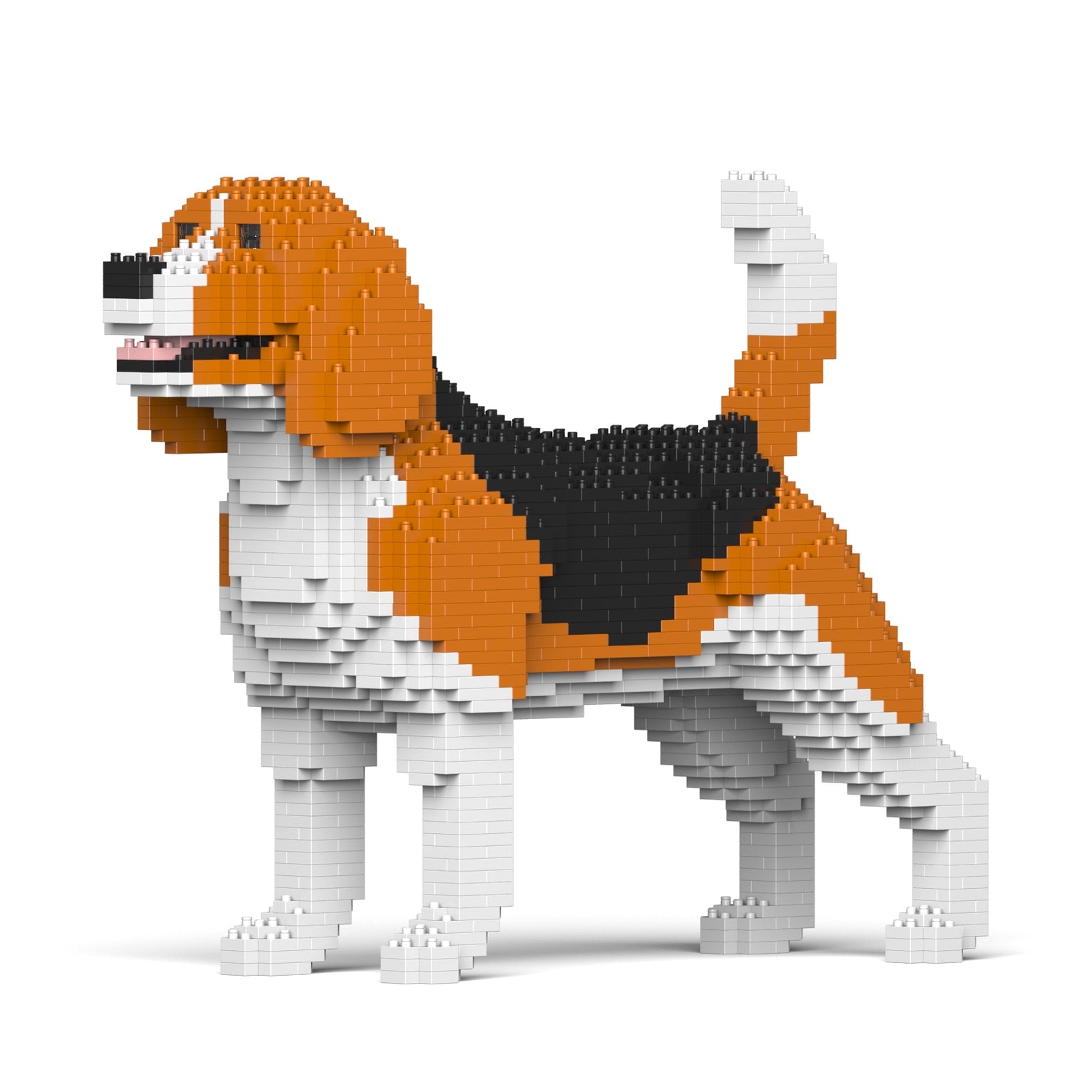 Beagle