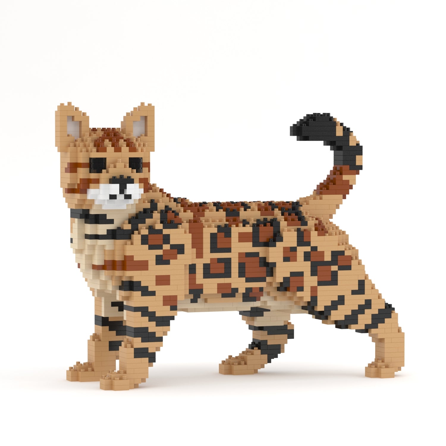 Bengal Cat