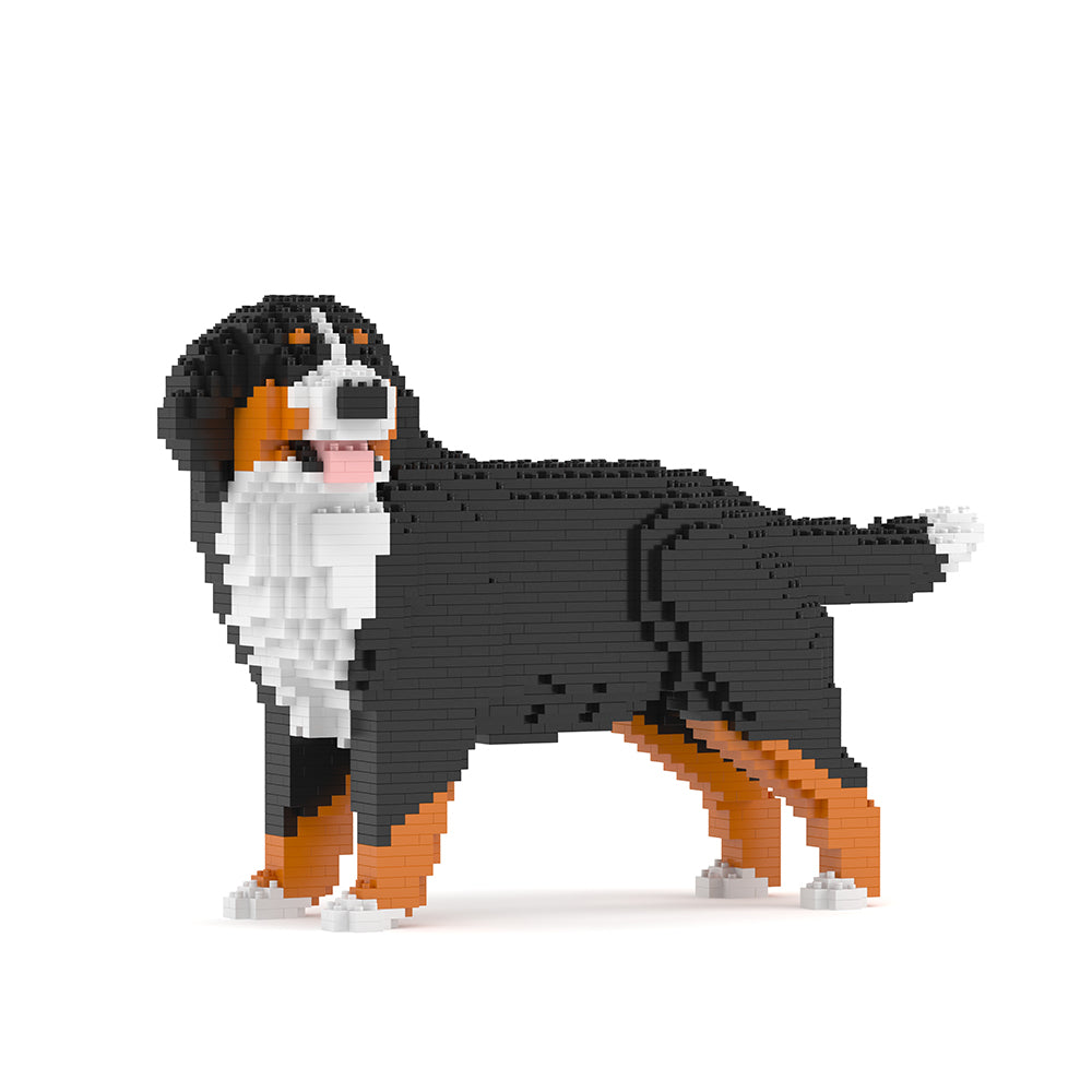 Bernese Mountain Dog