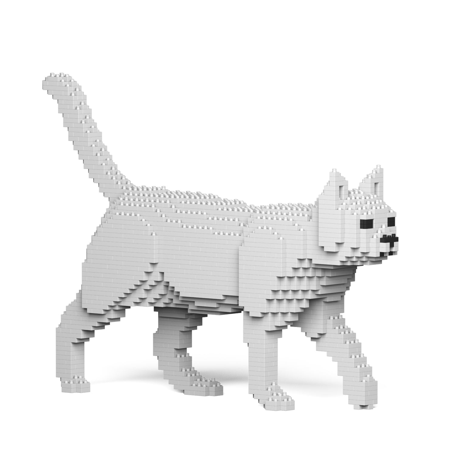 White Cat