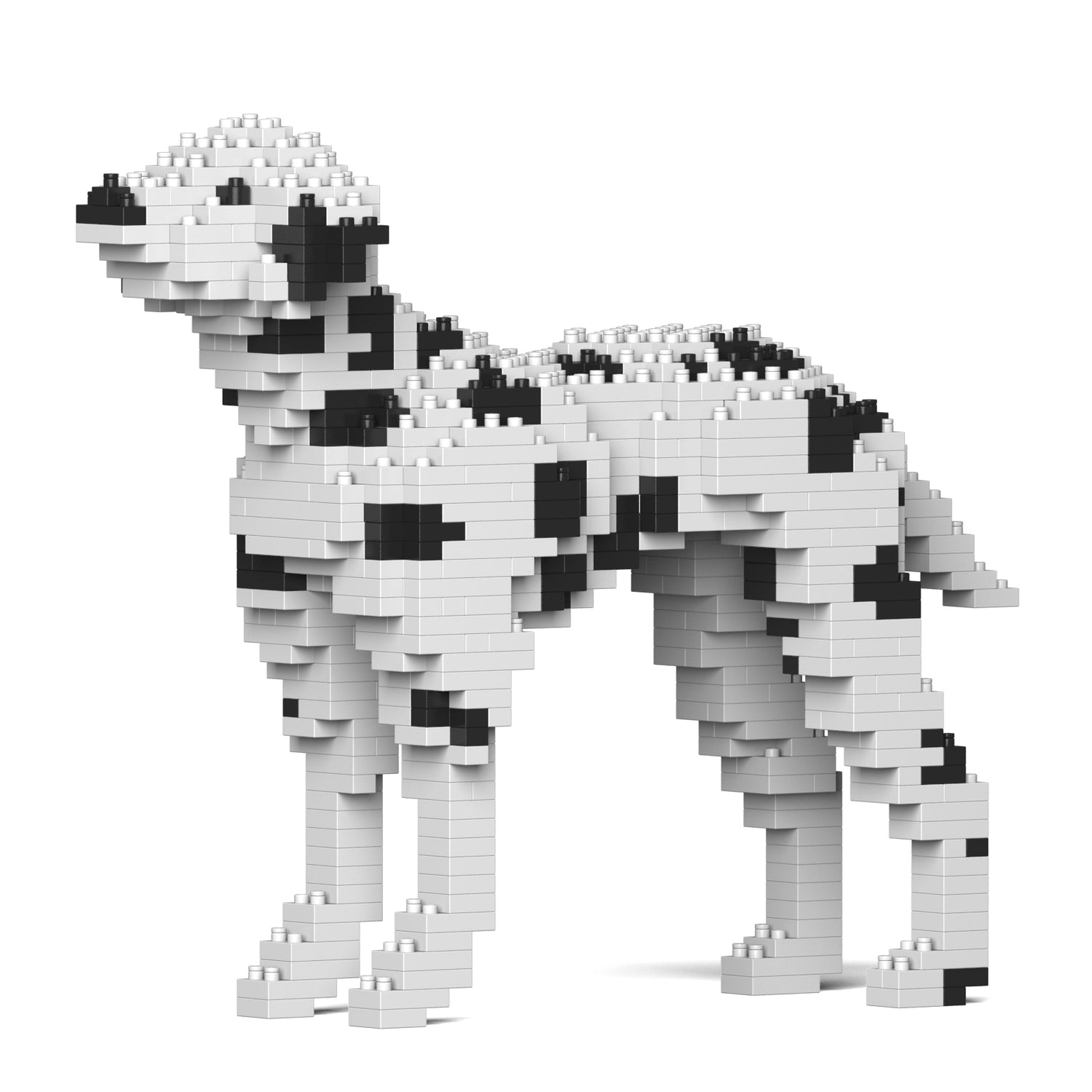 Dalmatian