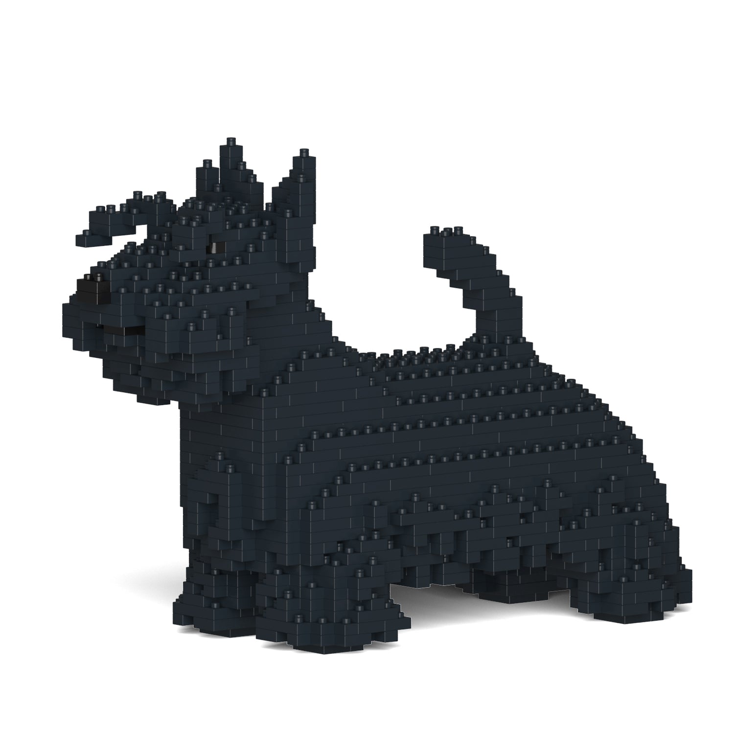 Scottish Terrier