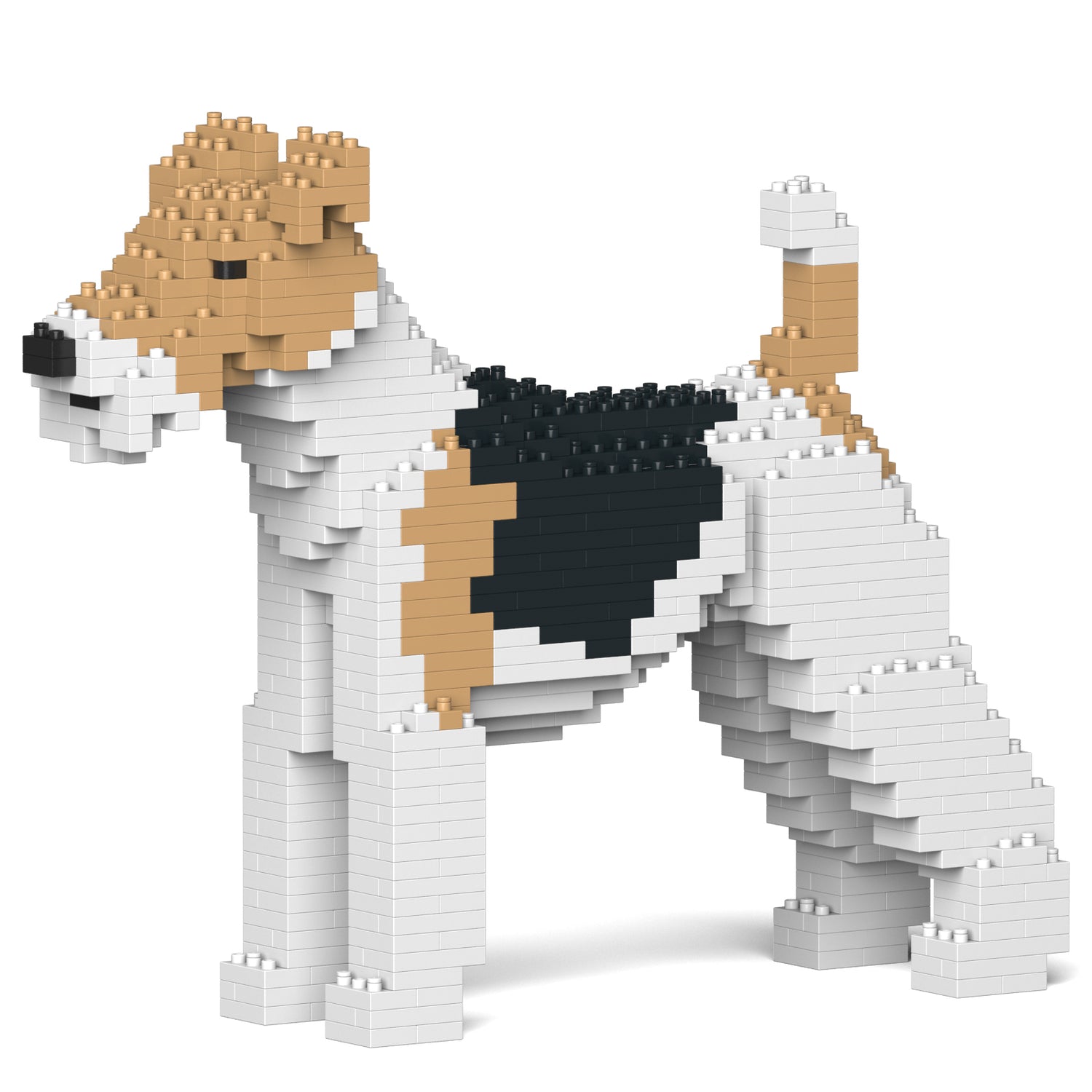 Wire Haired Fox Terrier