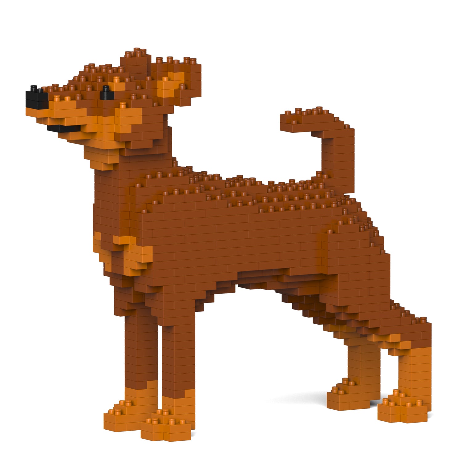 Miniature Pinscher