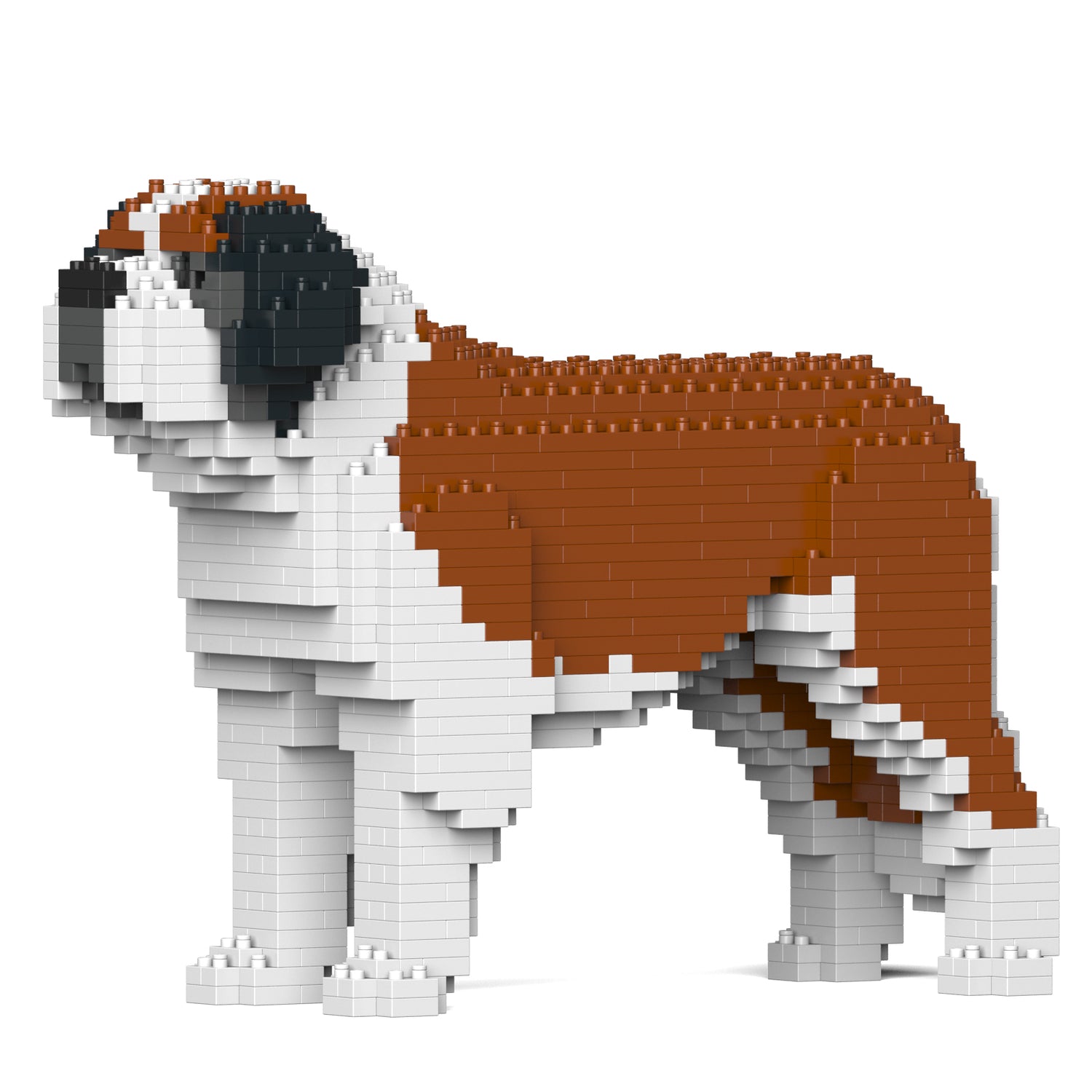 St. Bernard