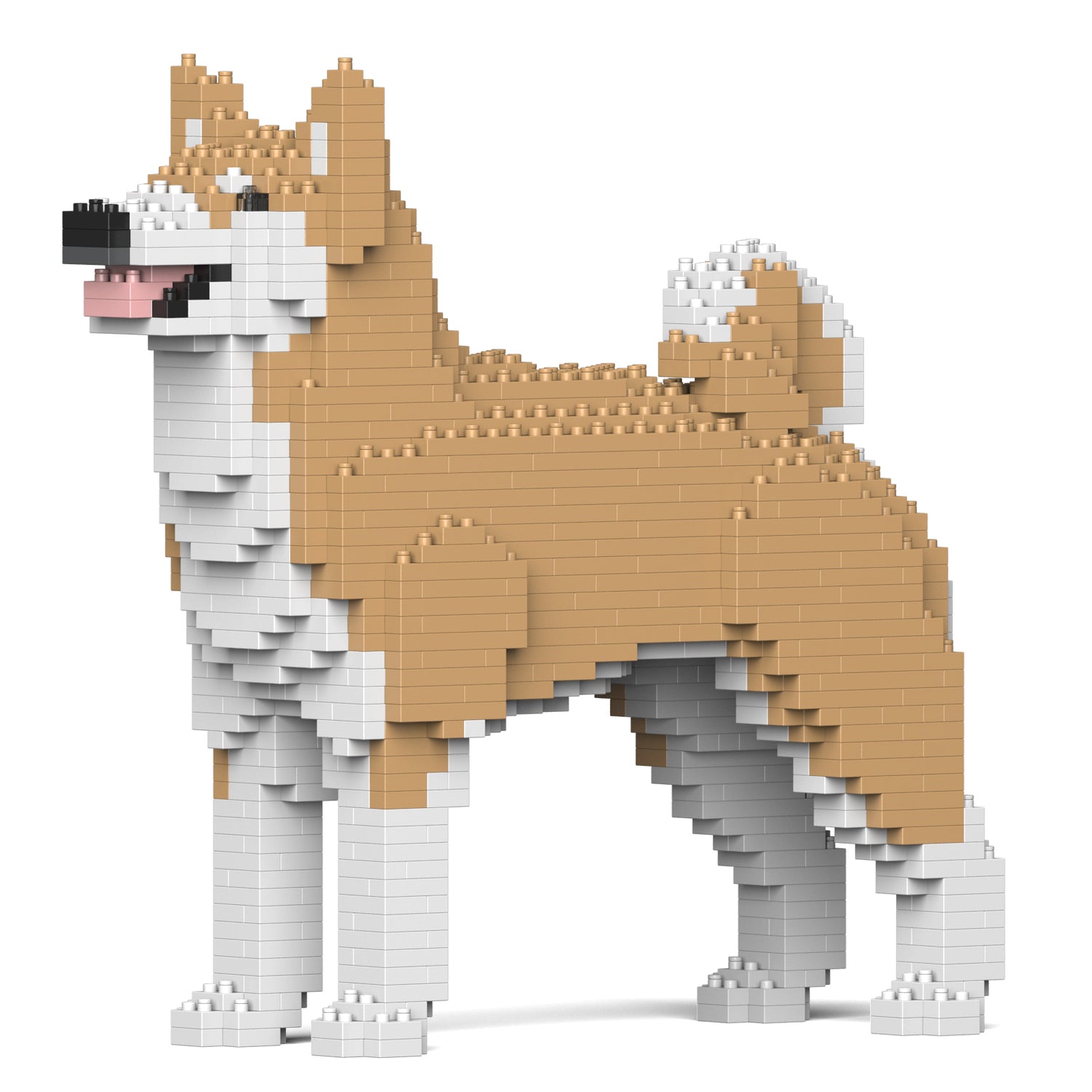 Akita Inu