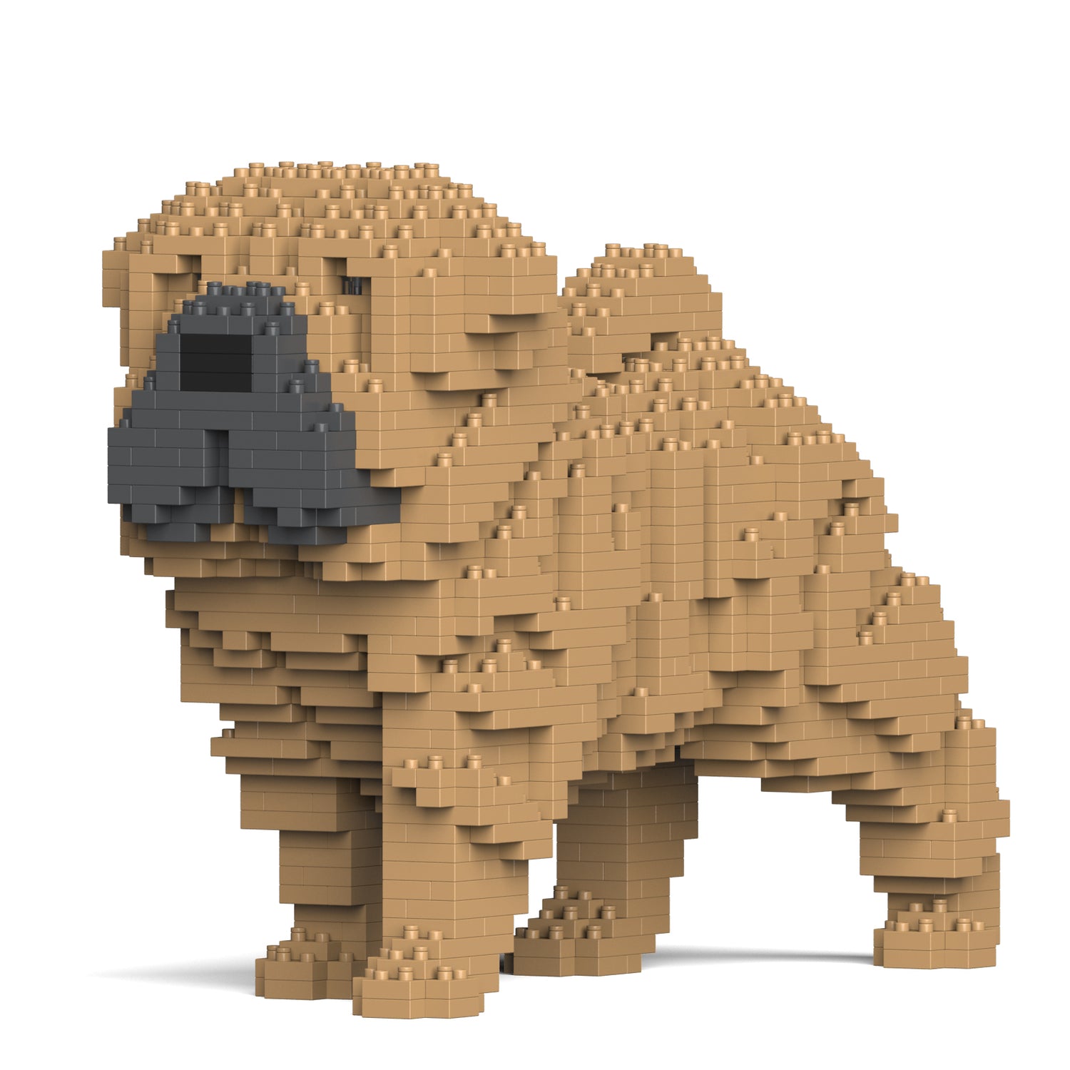 Shar Pei Dog