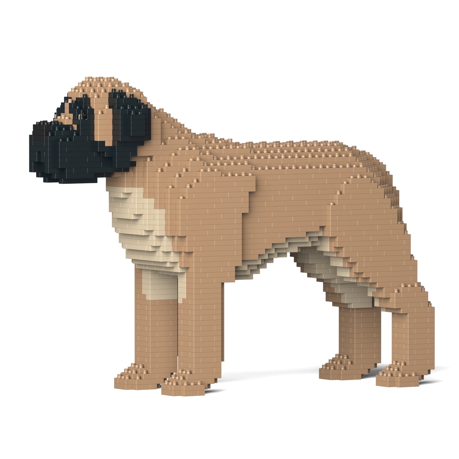 English Mastiff