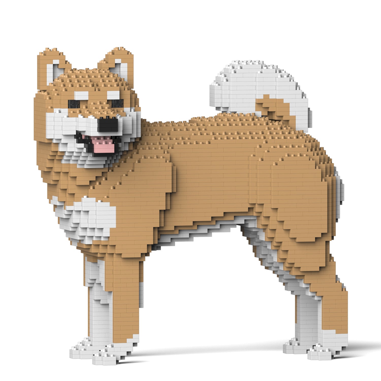 Shiba Inu