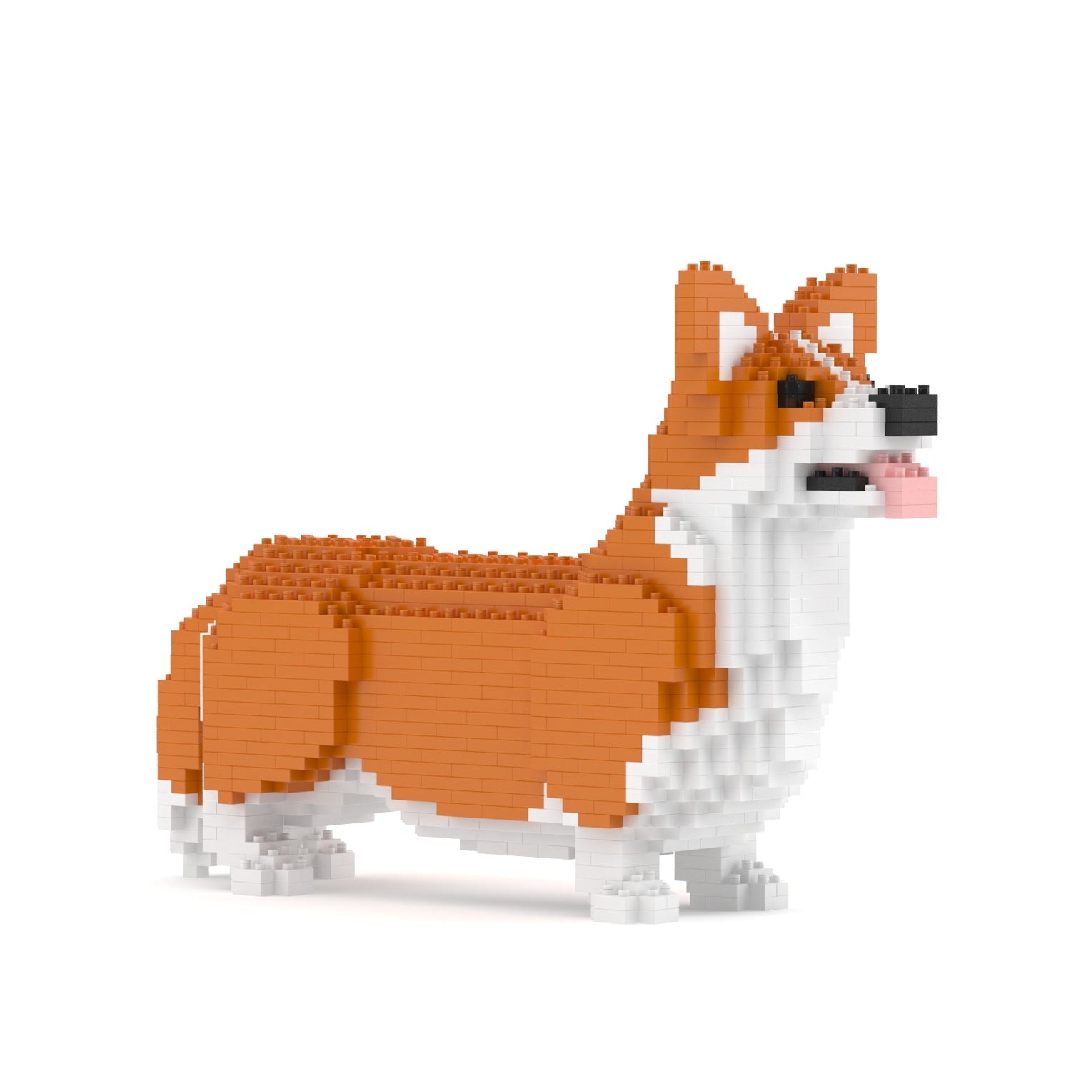 Welsh Corgi