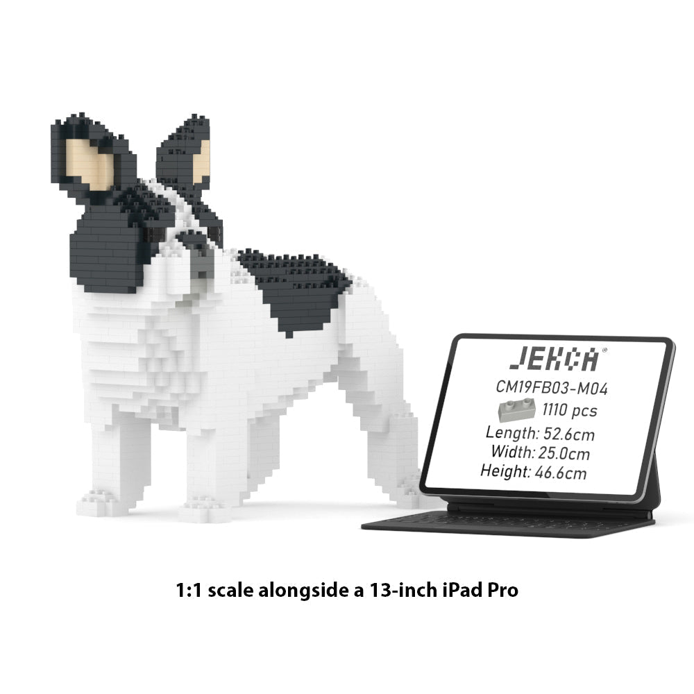 French Bulldog 03-M04