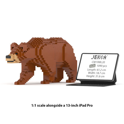 Brown Bear 01