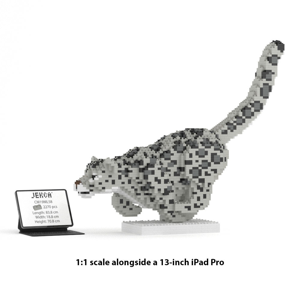 Snow Leopard 01