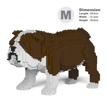 English Bulldog 01-M01