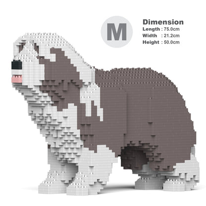 Bearded Collie 01-M02