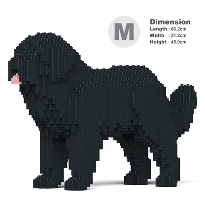 Newfoundland Dog 01-M02