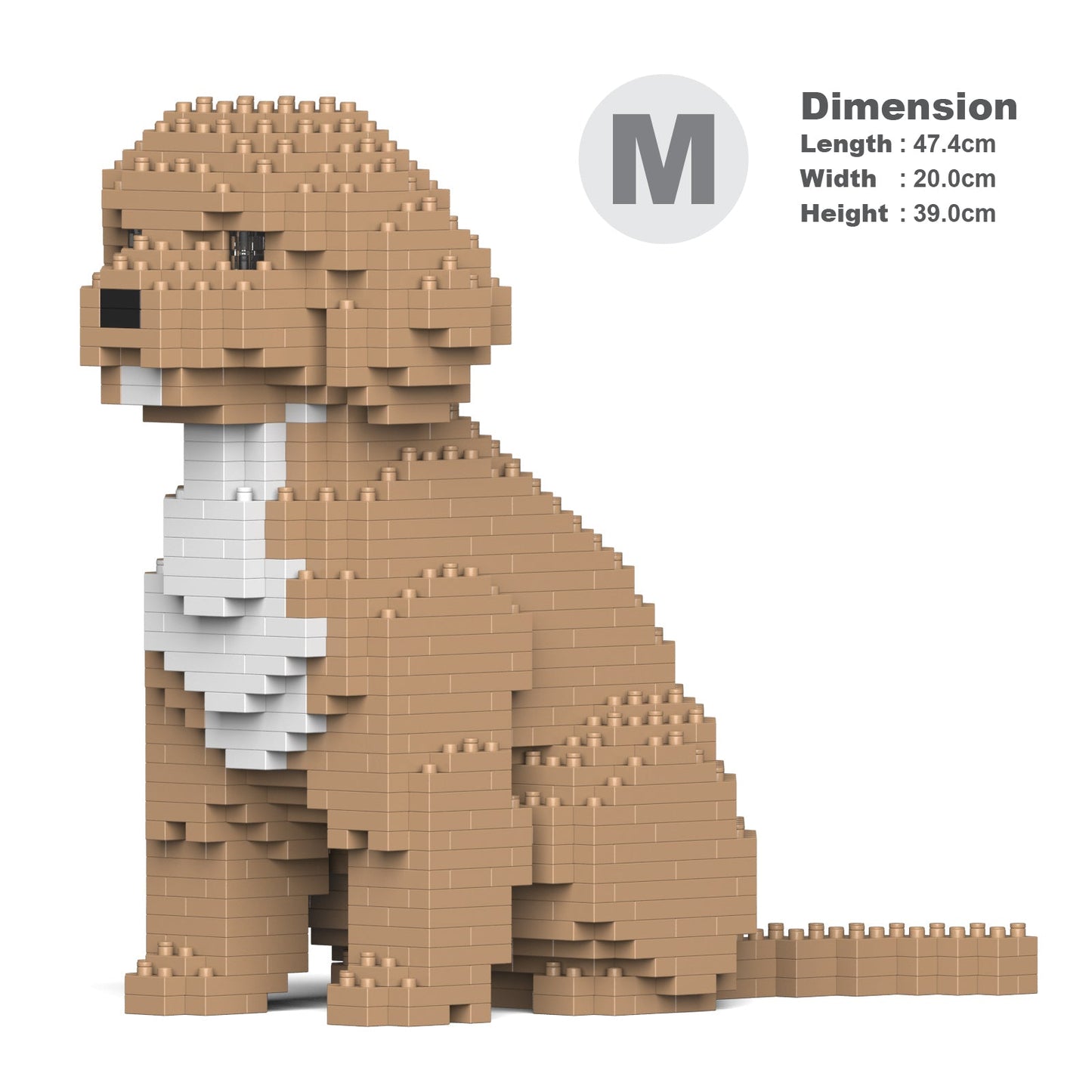 Cockapoo 01-M01