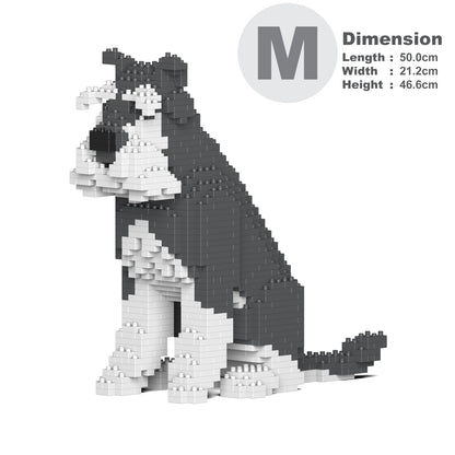 Standard Schnauzer 04-M01