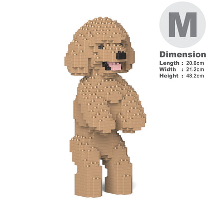 Toy Poodle 04-M03