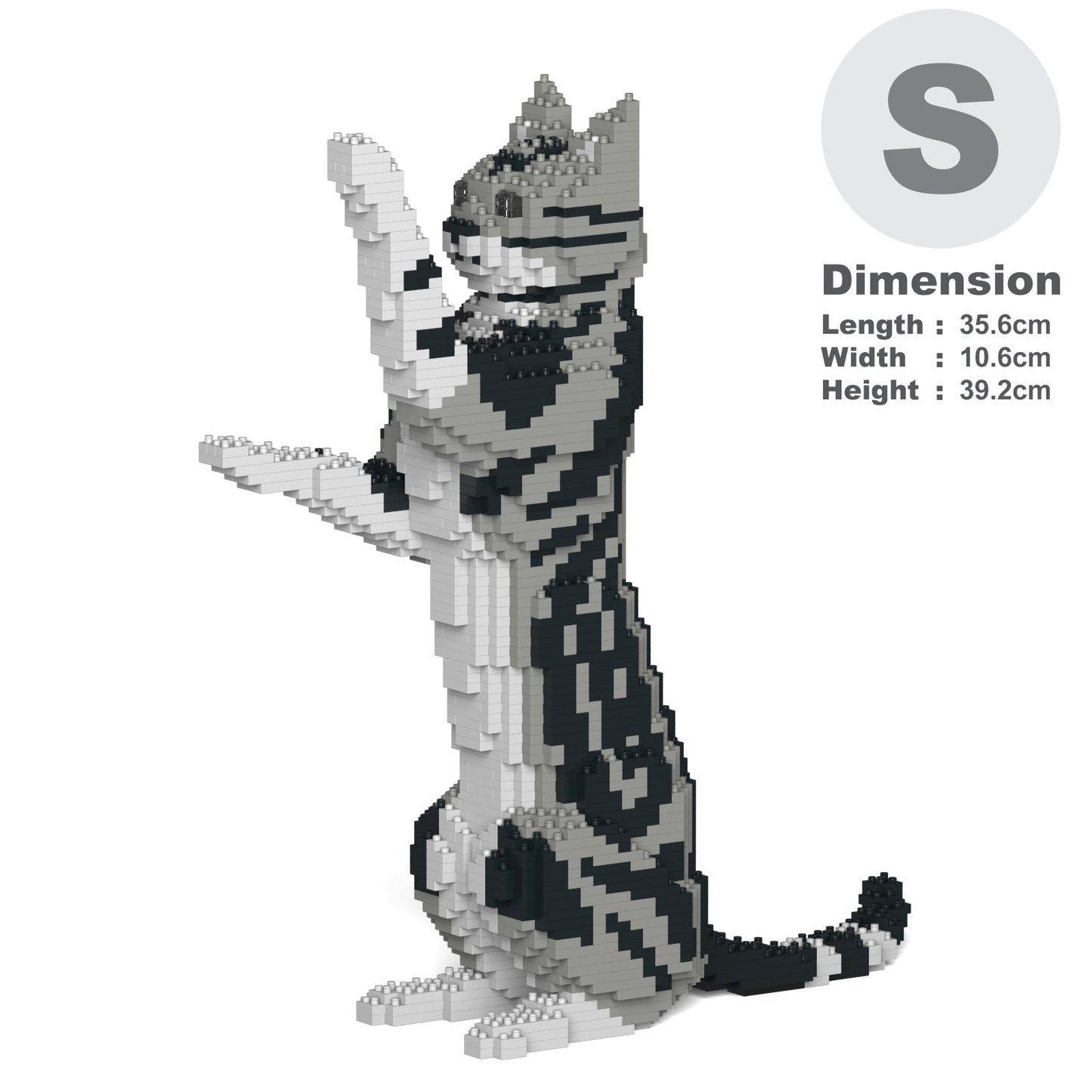 American Shorthair Cat 05S-M01