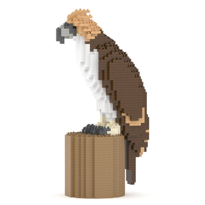 Philippine eagle 01