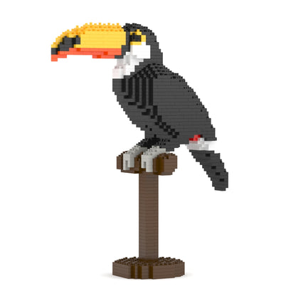 Toco Toucan 01S