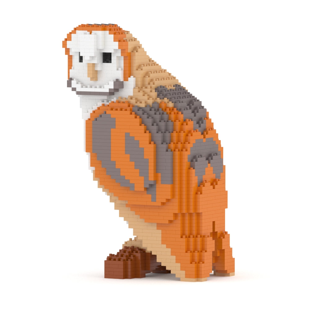 Barn Owl 01