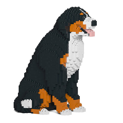 Bernese Mountain Dog 04