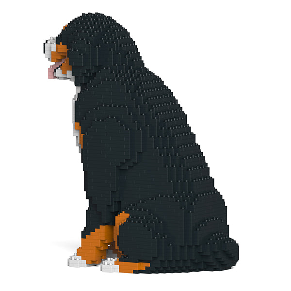 Bernese Mountain Dog 04