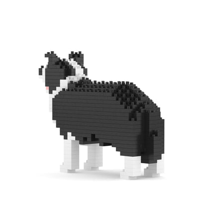 Border Collie Mini 01