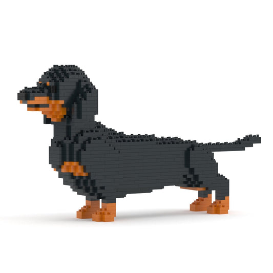 Dachshund 02-M01