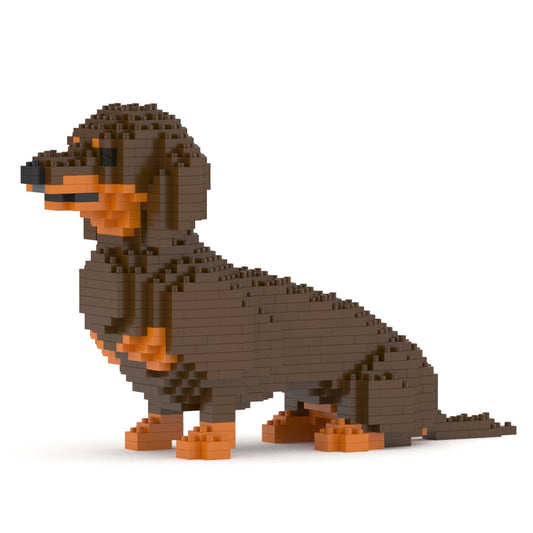 Dachshund 03-M02