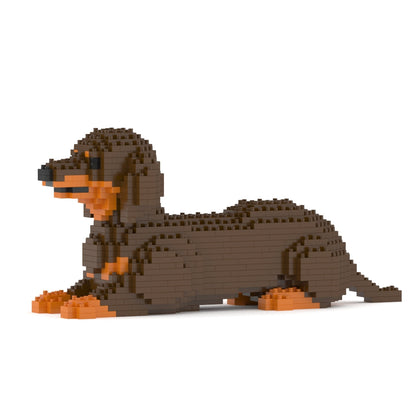 Dachshund 04-M02