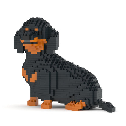 Dachshund 05-M01