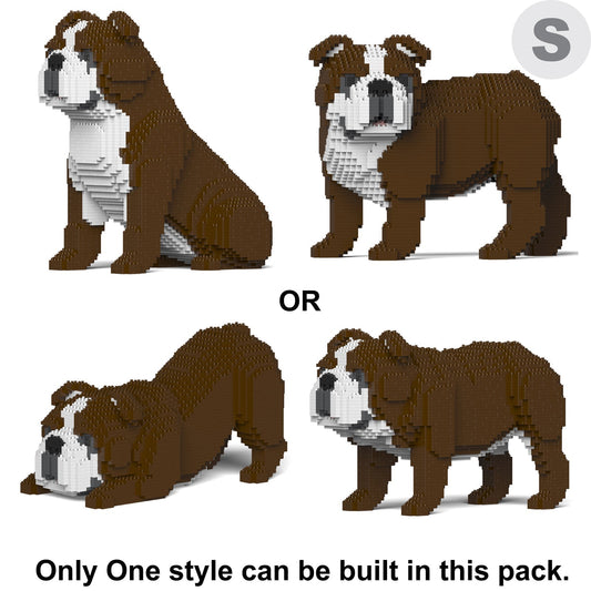 English Bulldog 4-in-1 Pack 01-M01