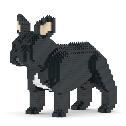 French Bulldog 02-M03