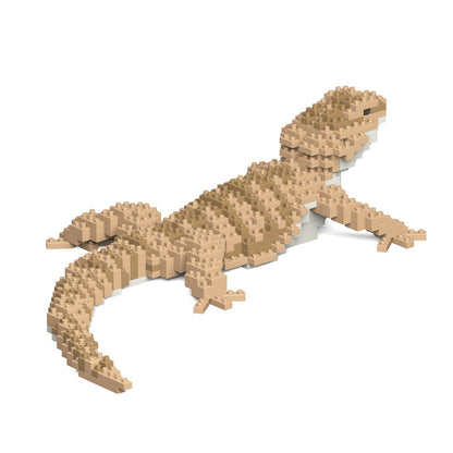 Bearded Dragon 01