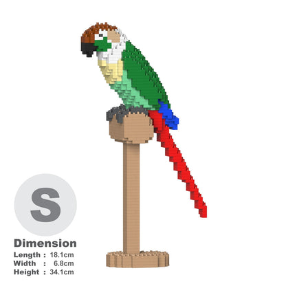 Green Cheek Conure 01S-M01