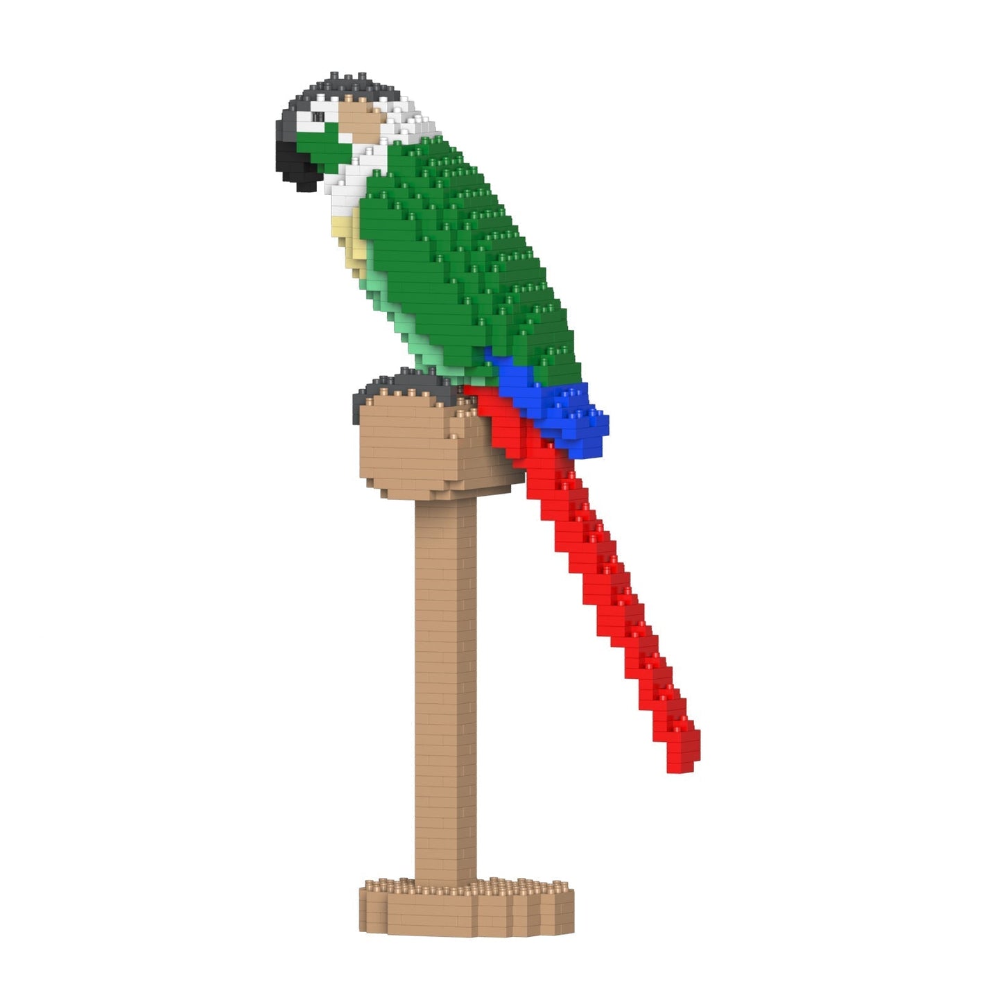 Green Cheek Conure 01S-M02