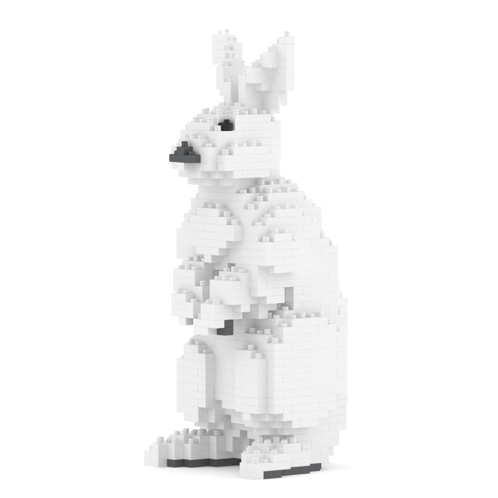 Rabbit 01