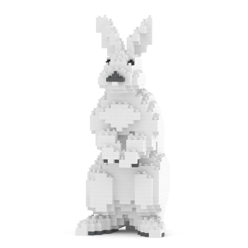 Rabbit 01