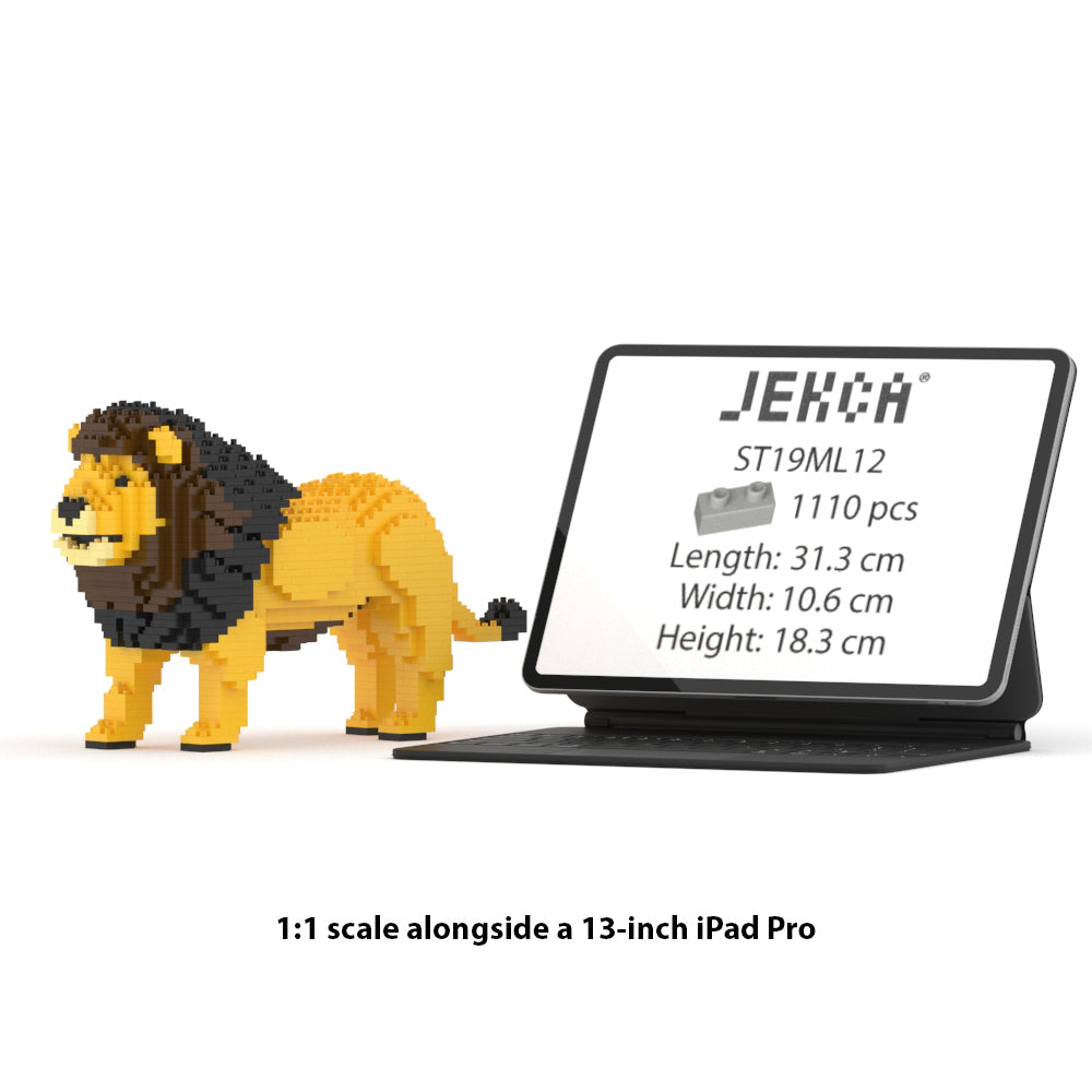 Lion 01