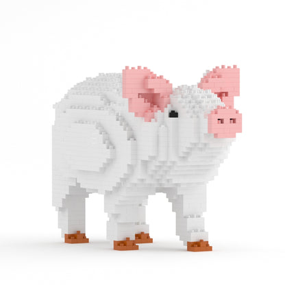 Pig 01