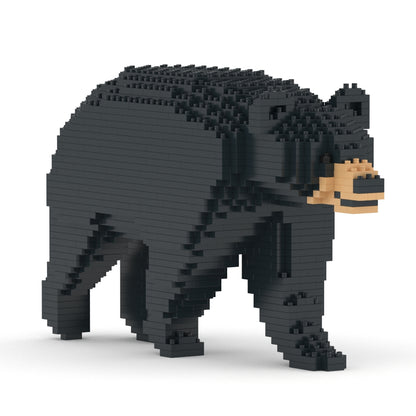 Black Bear 01