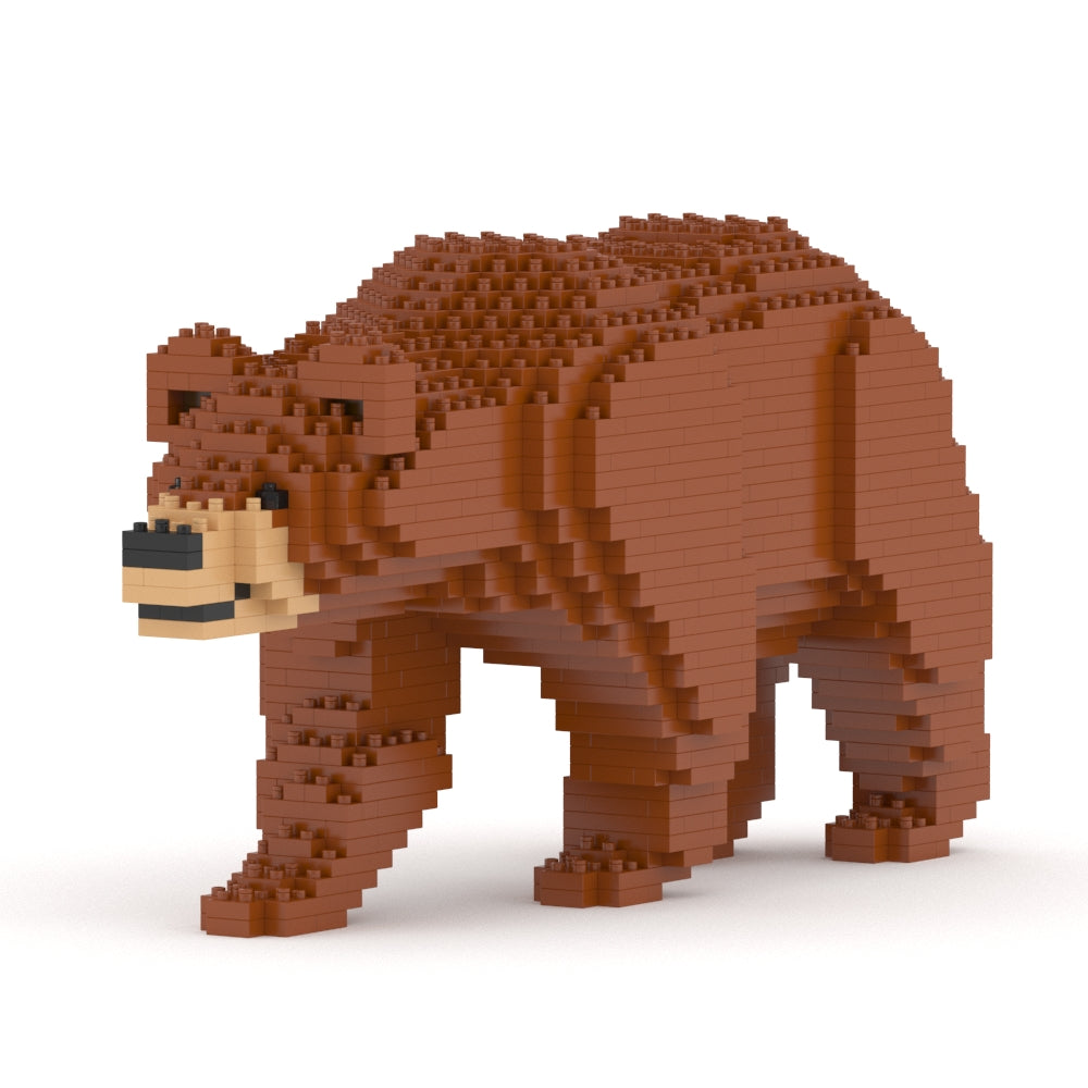 Brown Bear 01