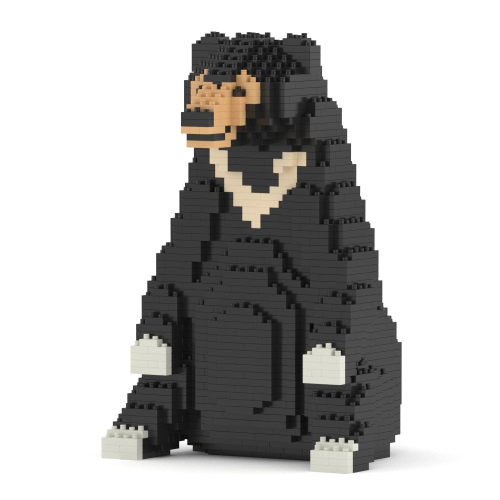 Sun Bear 01