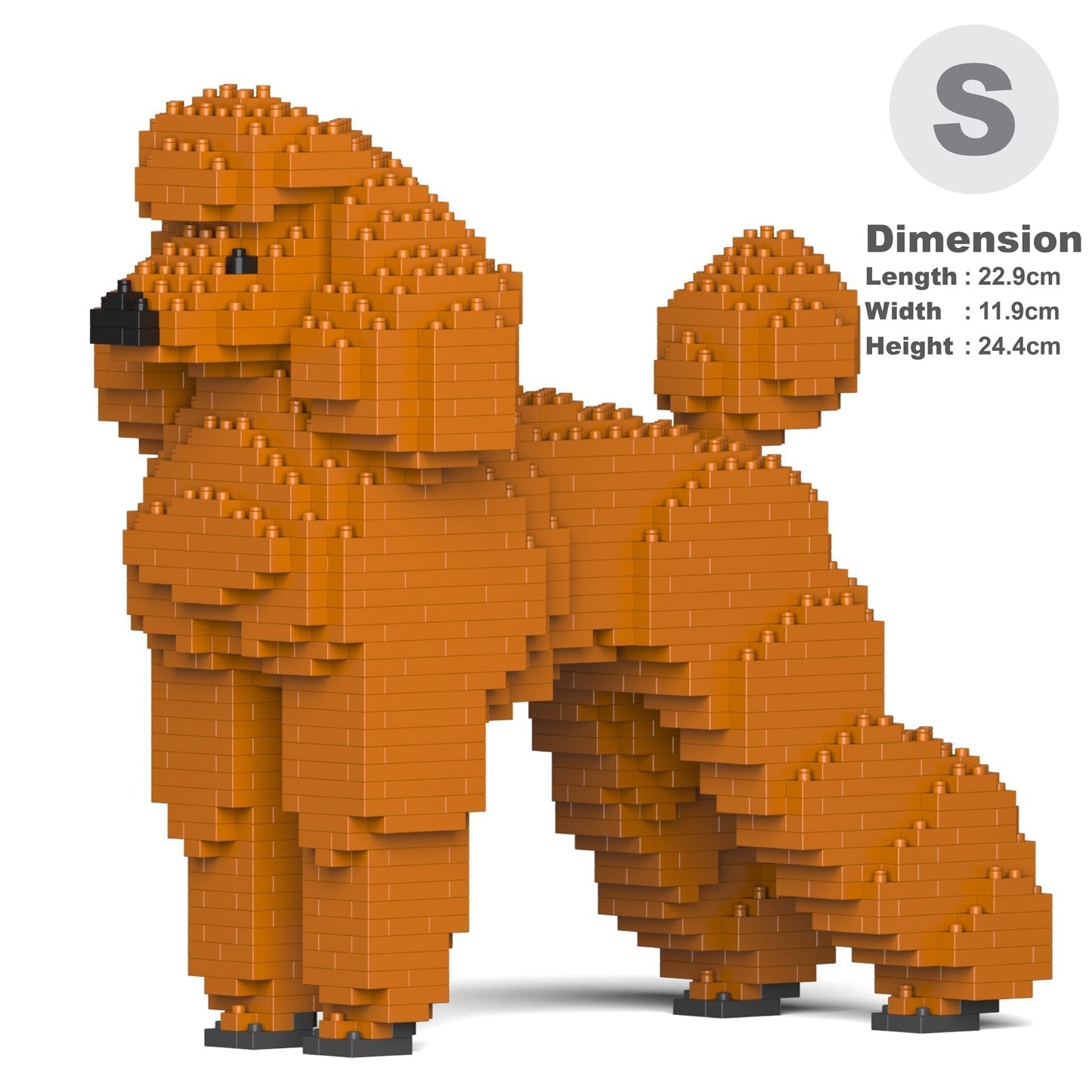 Standard Poodle 01-S13