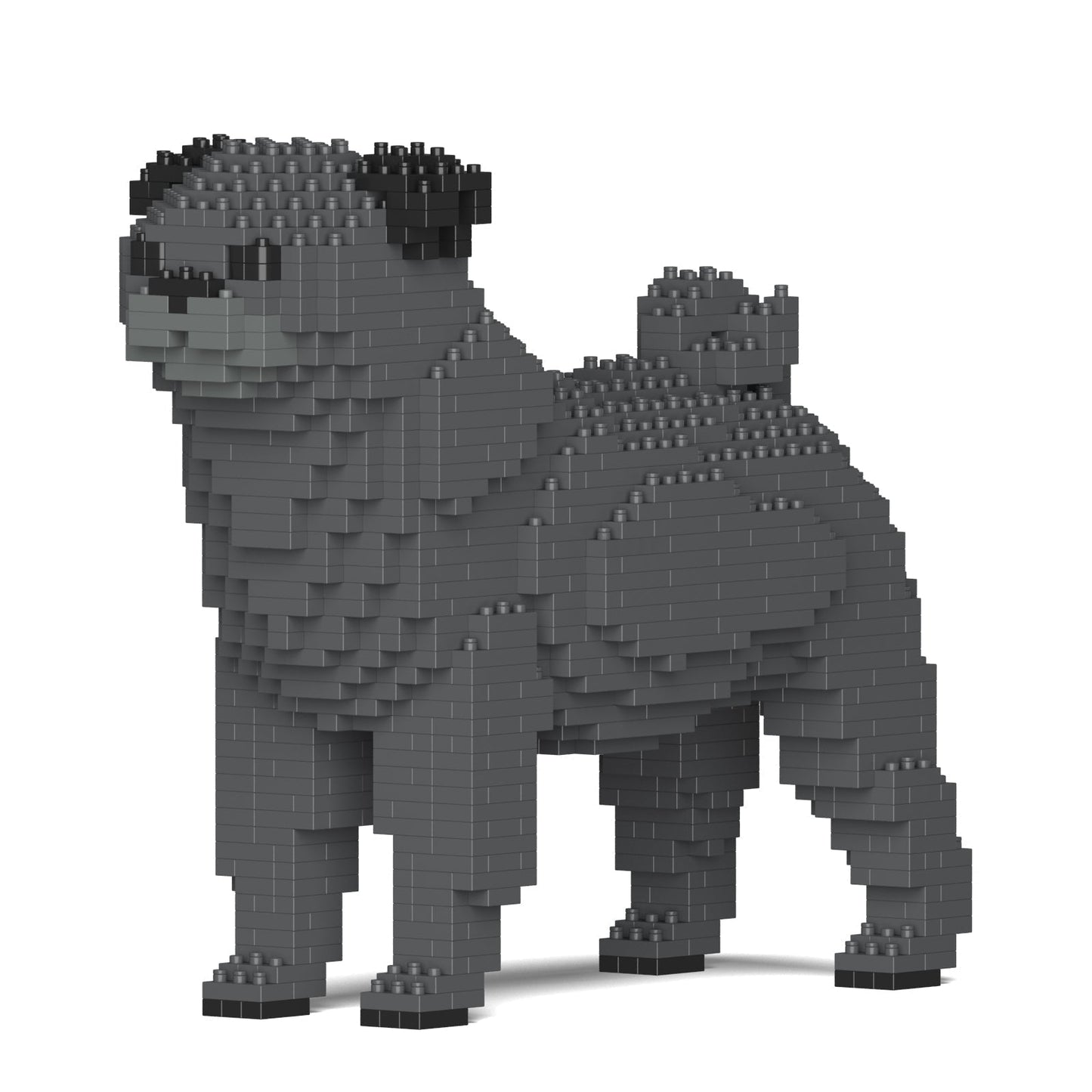 Pug 01-M04