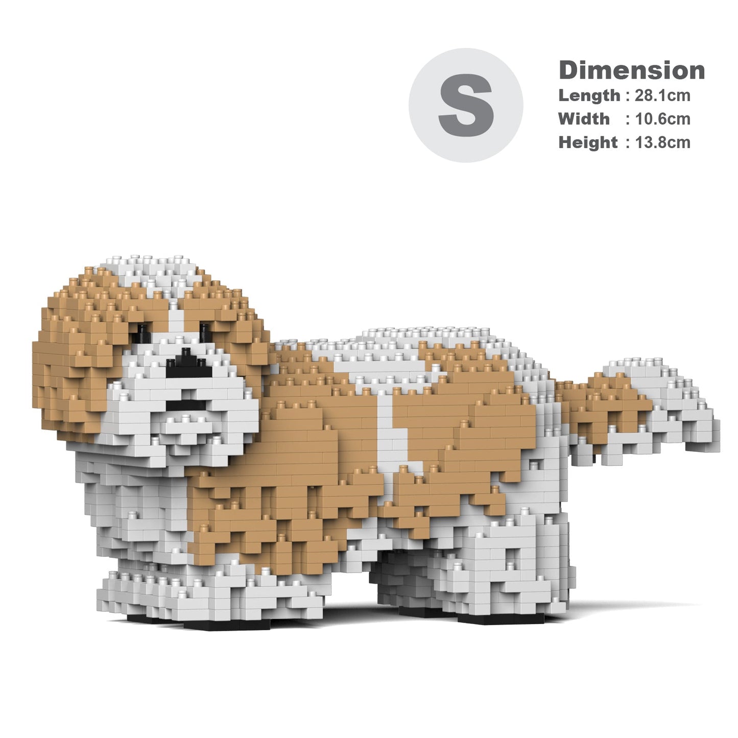 Shih Tzu 01-M04