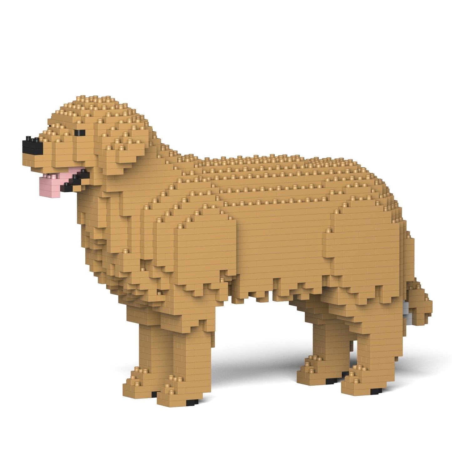 Golden Retriever 01-M04